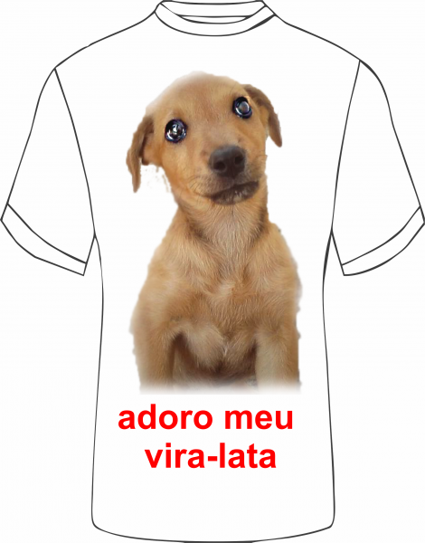 adora  meu  vira lata  -  c/ foto1a