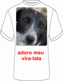 adora  meu  vira lata 2  -  c/ foto2a